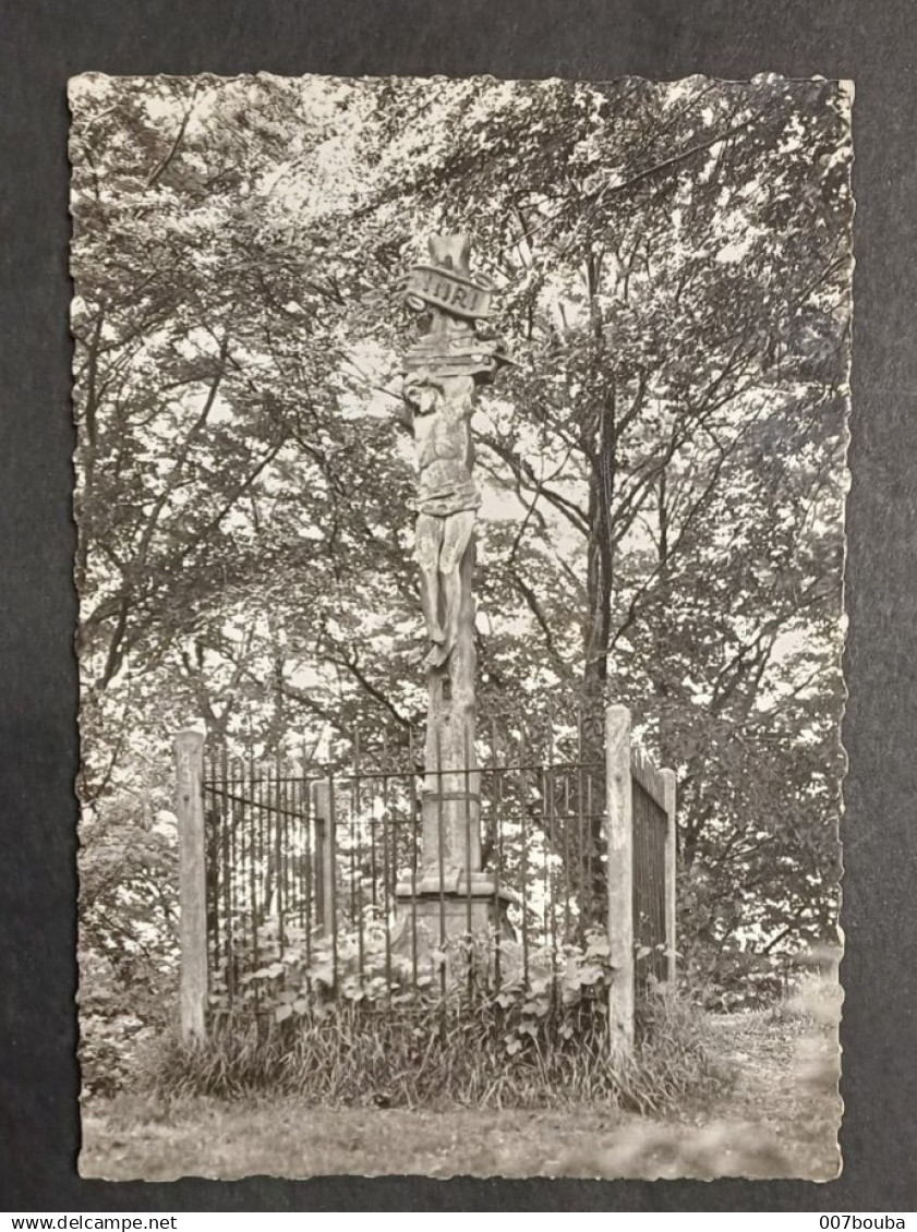 BRAINE LE CHÂTEAU / CALVAIRE DU MONT_ CPSM