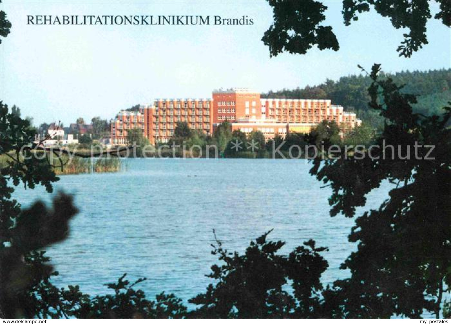 Brandis Wurzen Rehazentrum Brandis