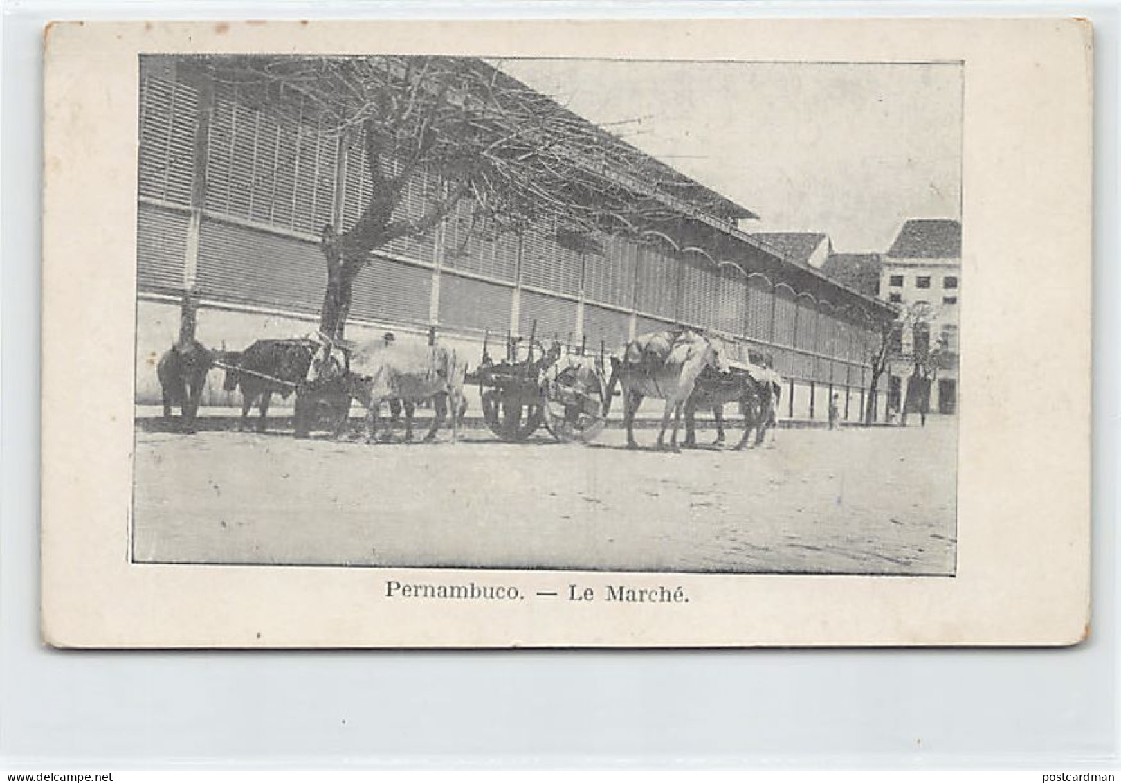 Brasil - RECIFE Pernambuco - O mercado - Ed. desconhecido