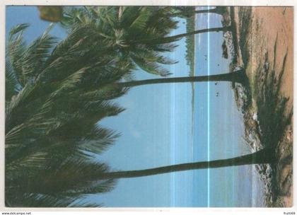 AK 259305 BRAZIL - Maceió - Praia de Jacarecica