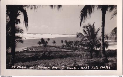 BRESIL(NATAL) CARTE PHOTO(ARBRE)