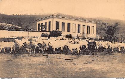 Brasil - ARAGUARI Araguary - Uma fazenda - Ed. Missões das Irmãs de Berlaar (Bélgica)
