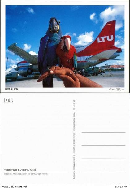 Recife Flughafen Airport LTU Flugzeug Arara Pagageien Vögel 2000
