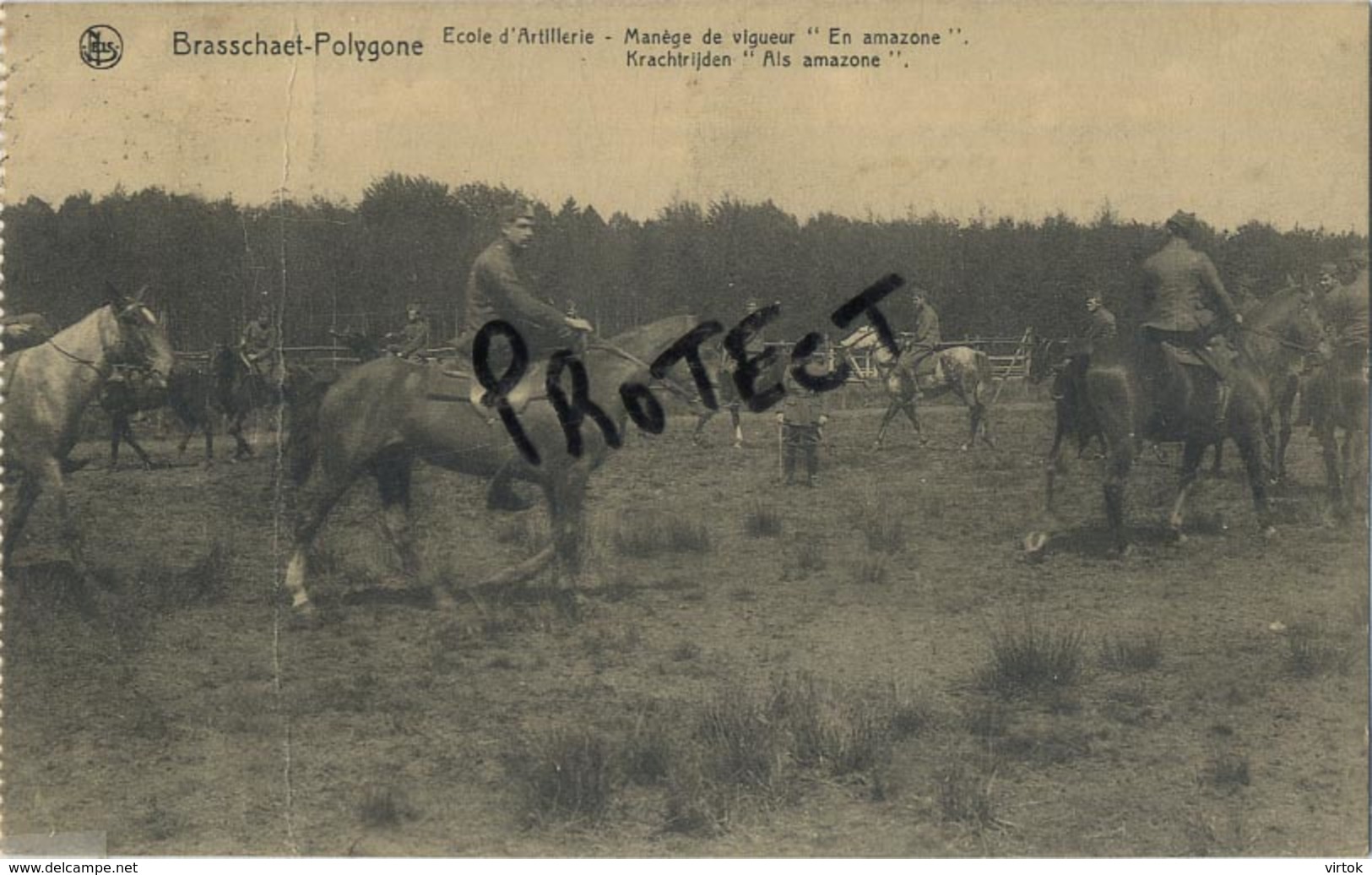 Brasschaat :  ecole artillerie  (  paard - cheval )