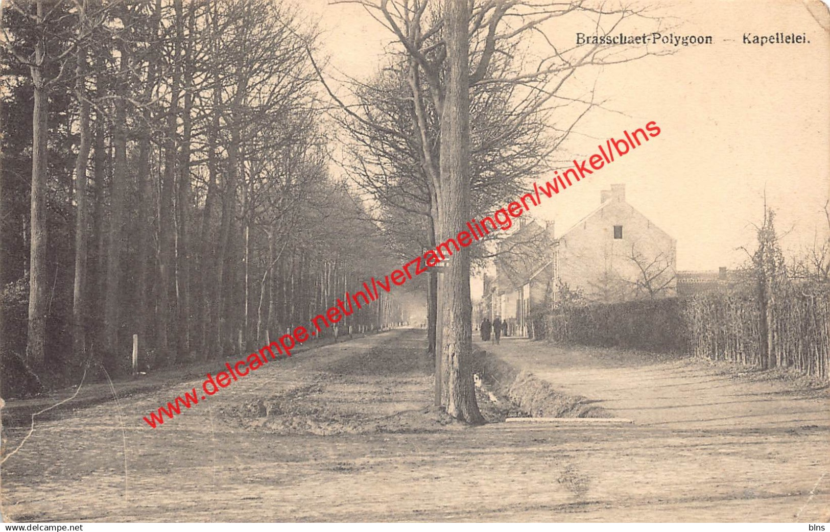 Brasschaet-Polygone - Kapellei - Brasschaat