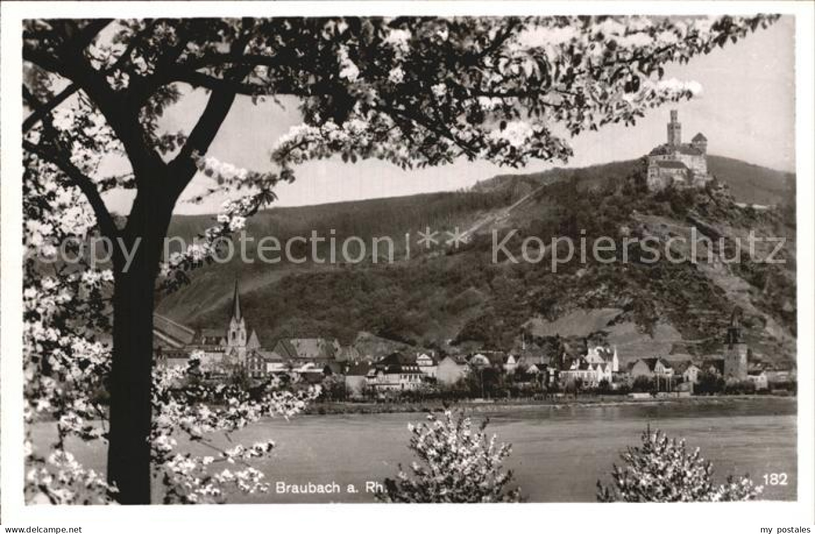 Braubach Rhein Burg