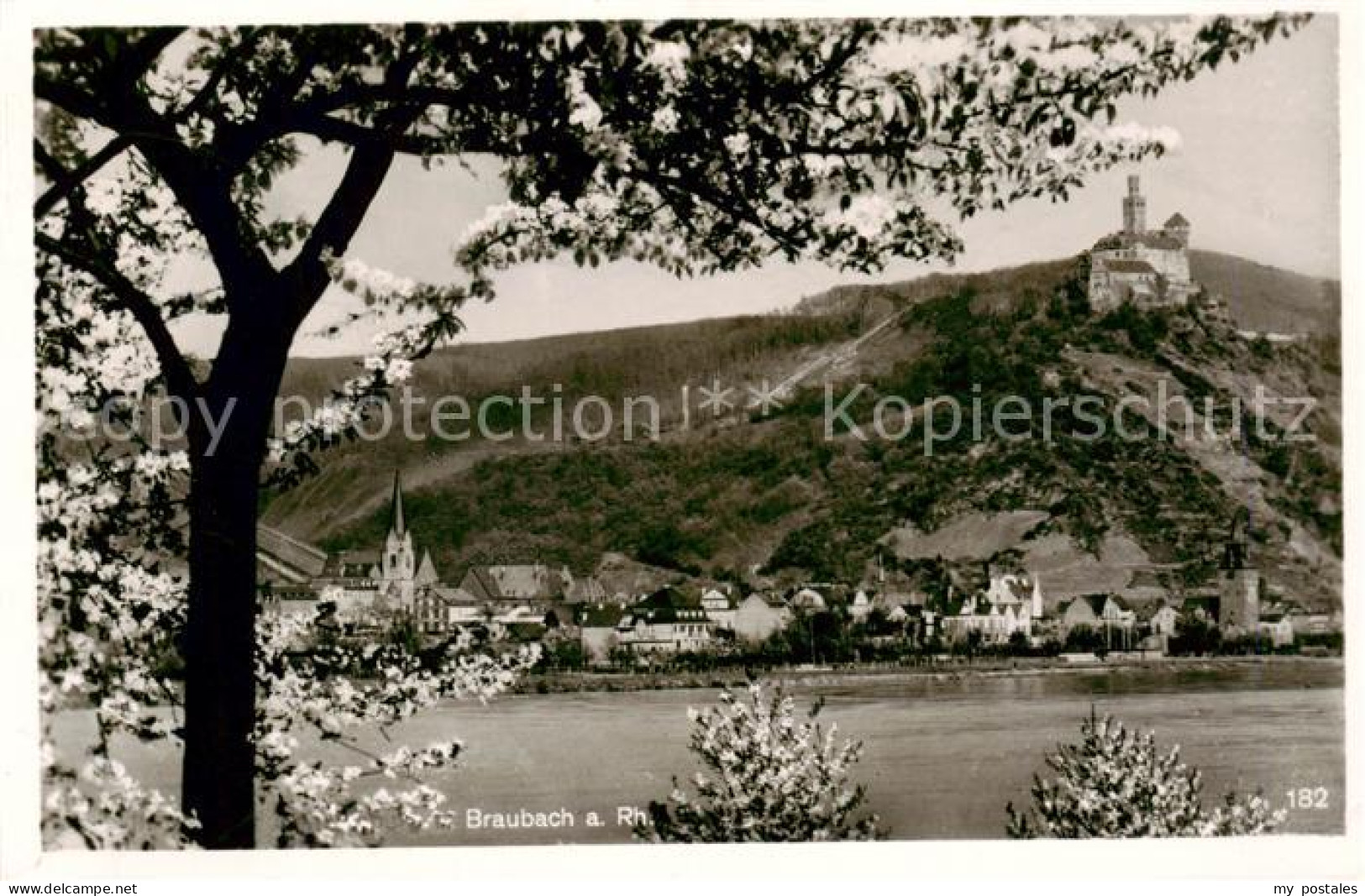 Braubach Rhein Panorama