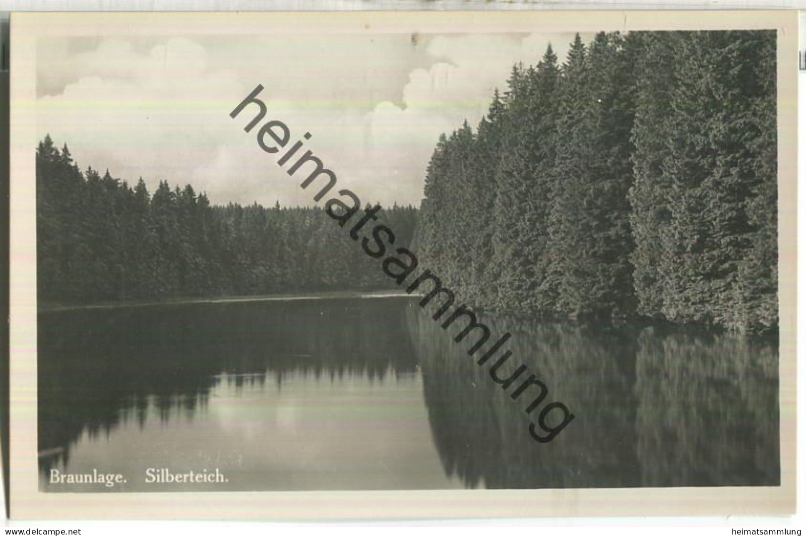 Braunlage - Silberteich - Foto-Ansichtskarte - Verlag Hans Rudolphi Braunlage 30er Jahre