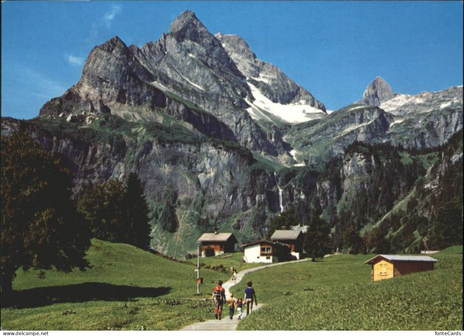 Braunwald GL Braunwald