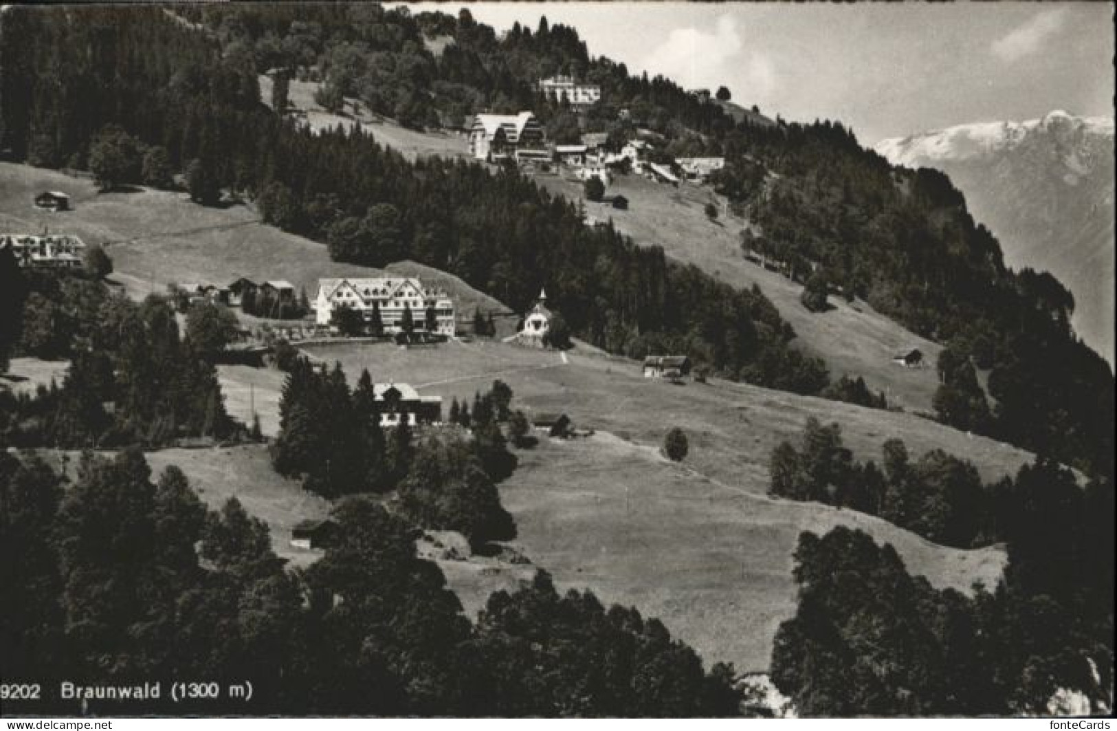 Braunwald GL Braunwald