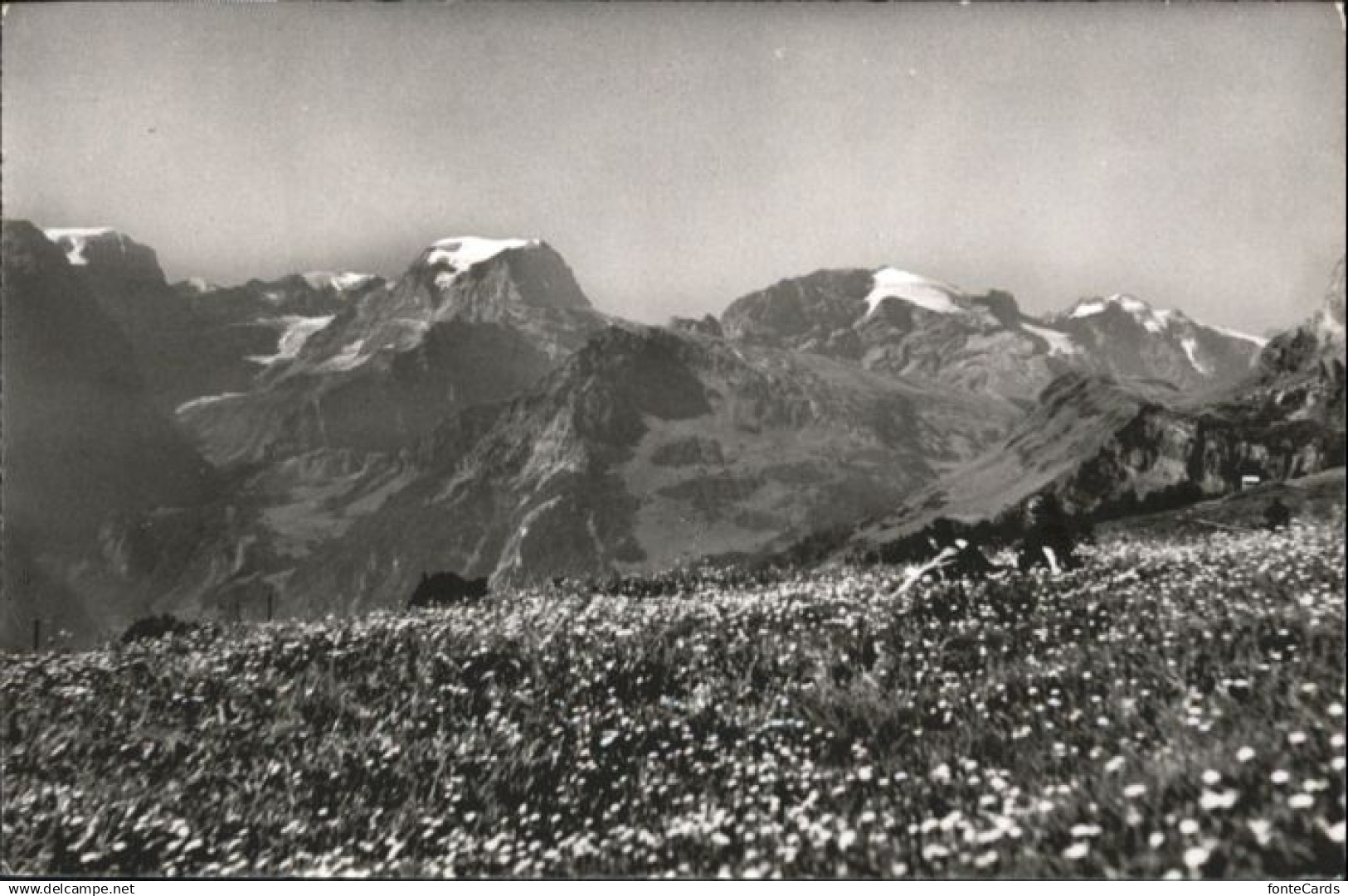 Braunwald GL Braunwald Claridenstock