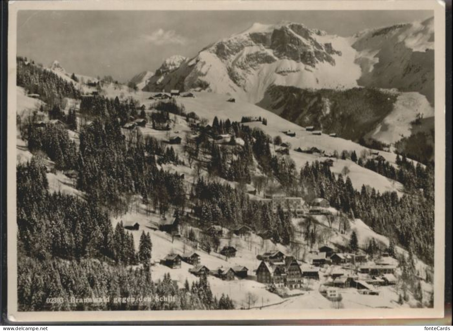 Braunwald GL Braunwald Schilt