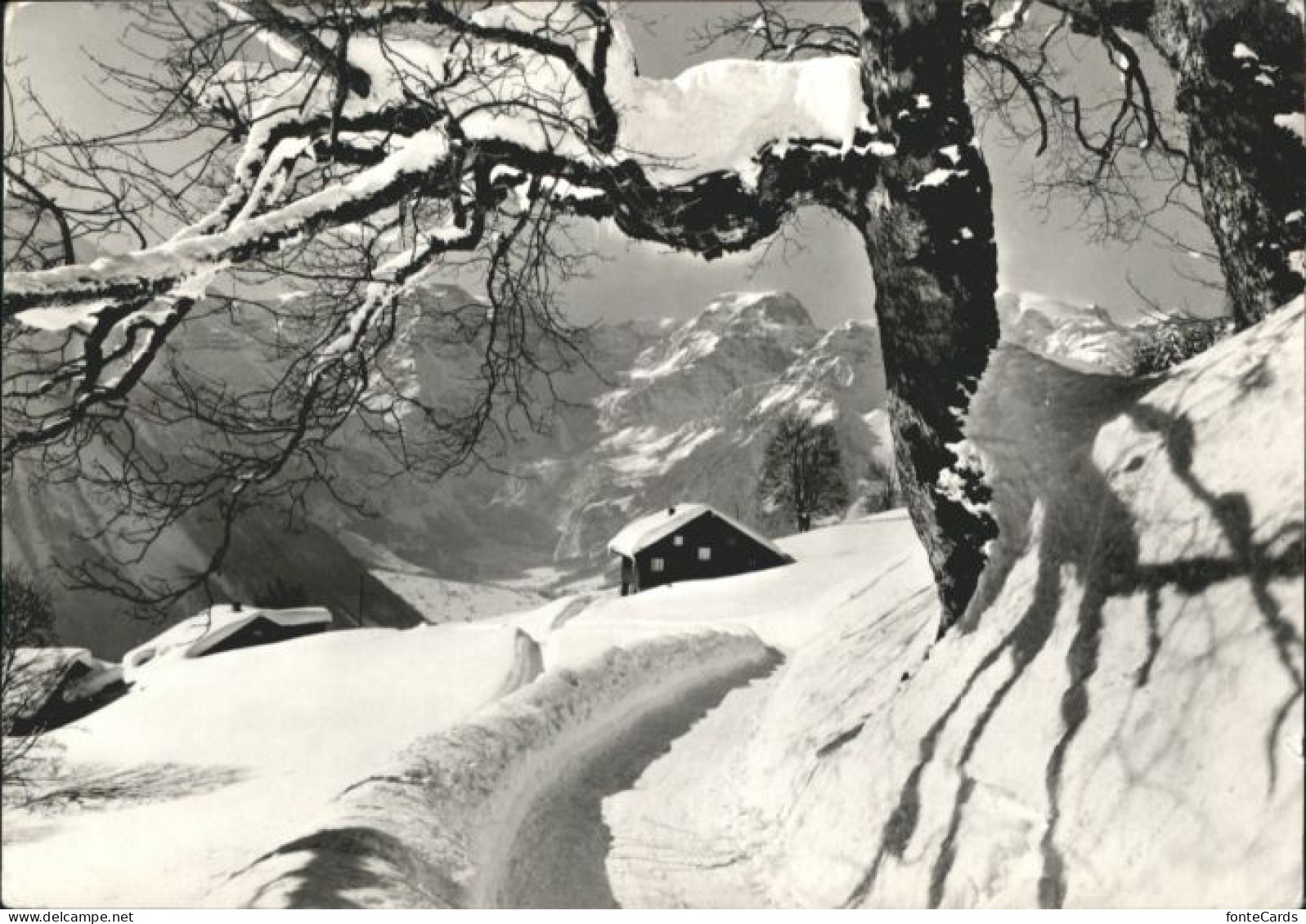 Braunwald GL Braunwald Toedi