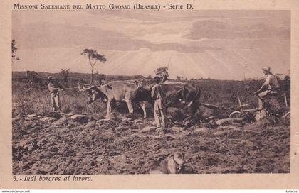 POSTAL DE MISSIONI DEL MATTO GROSSO - INDI BOROROS AL LAVORO DEL AÑO 1923  (BRASIL) (VANORDEN)