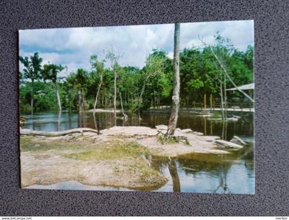 D207872  CPM AK -Brazil - BRASIL -  MANAUS -Igarape de manaus