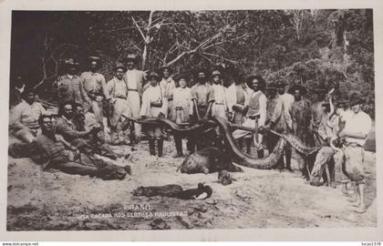 BRESIL / RARE CARTE PHOTO WESSEL / AMAZONIE / CHASSE / HUNTING / ANACONDA ET AUTRE ANIMAUX