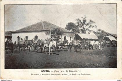 CPA Caravane de Transports BRAZIL (1085116)