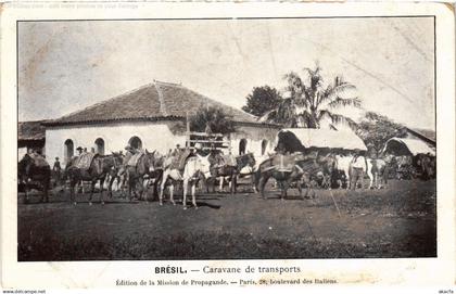 PC BRAZIL CARAVANE DE TRANSPORTS (a69708)