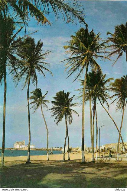 Brésil - Fortaleza - Fortaleza praia c coqueiros e jangadas em repouso  - CPM - Voir Scans Recto-Verso