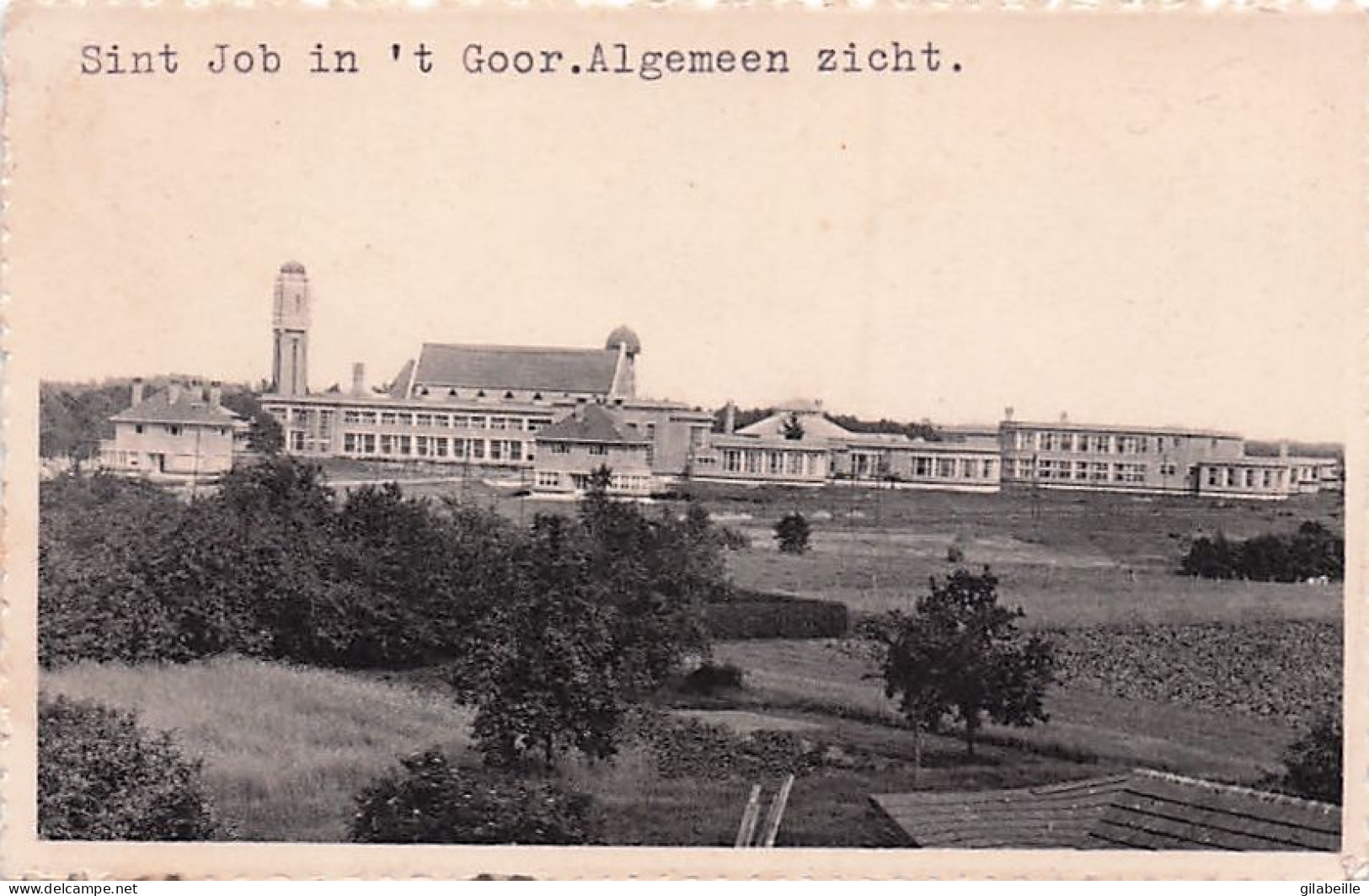 Brecht - ST. JOB in't GOOR - Sint-Job-in-'t-Goor - Algemeen zicht