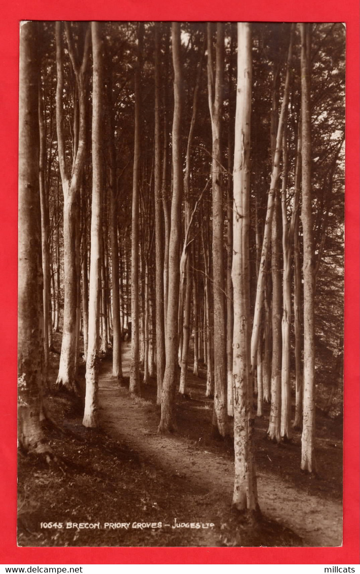 BRECONSHIRE    BRECON   PRIOTY GROVES   FRED JUDGE RP