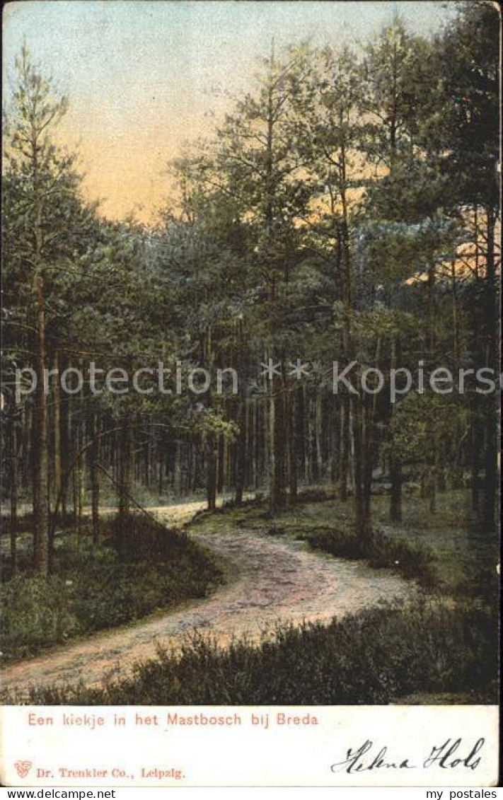 Breda Noord-Brabant Mastbosch