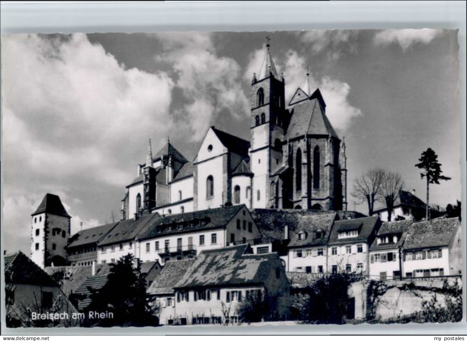 Breisach Rhein Breisach