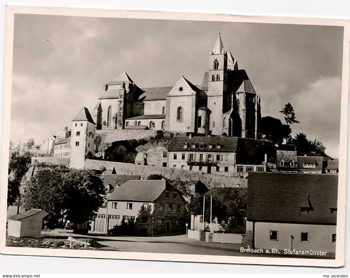 Breisach Rhein Breisach