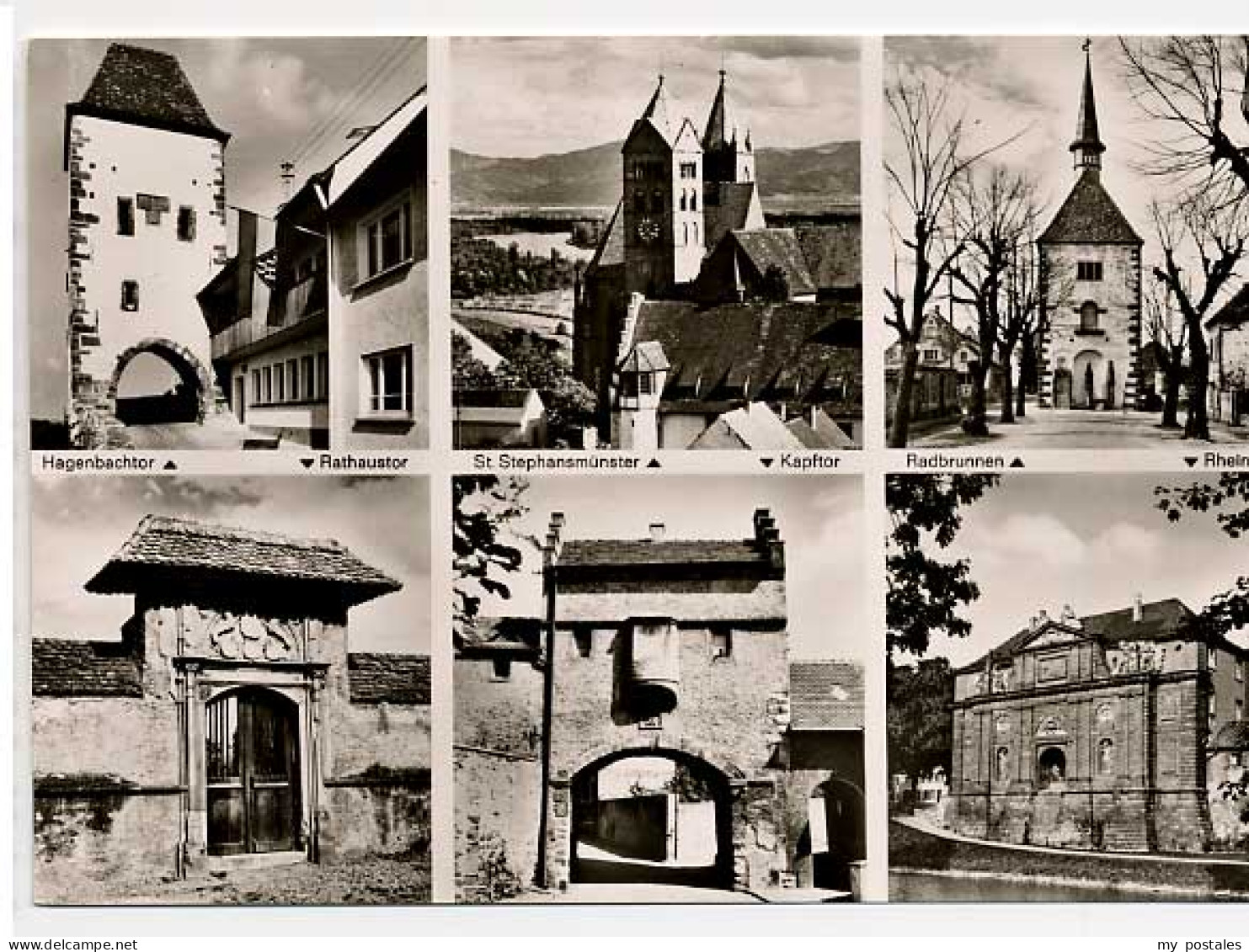 Breisach Rhein Breisach