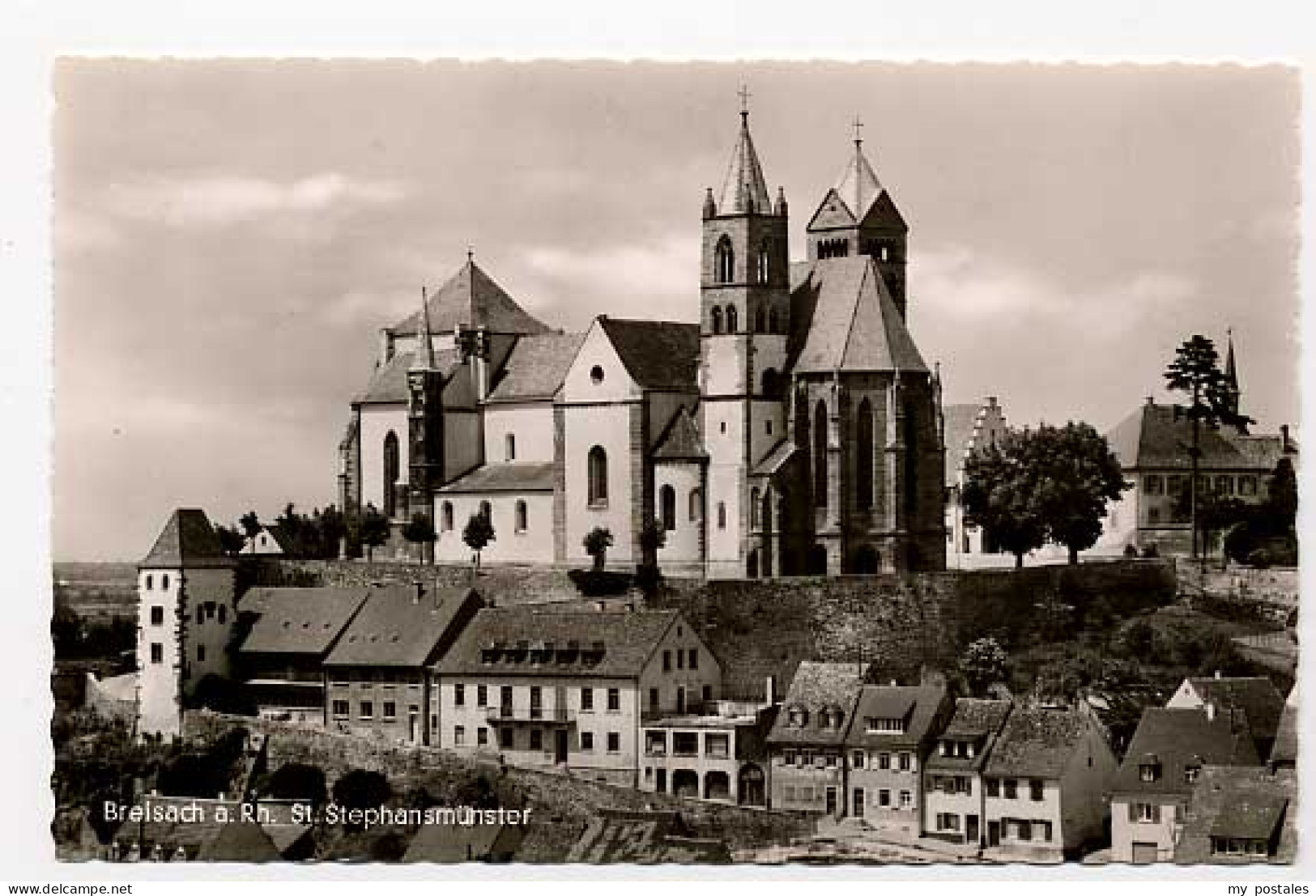 Breisach Rhein Breisach Muenster
