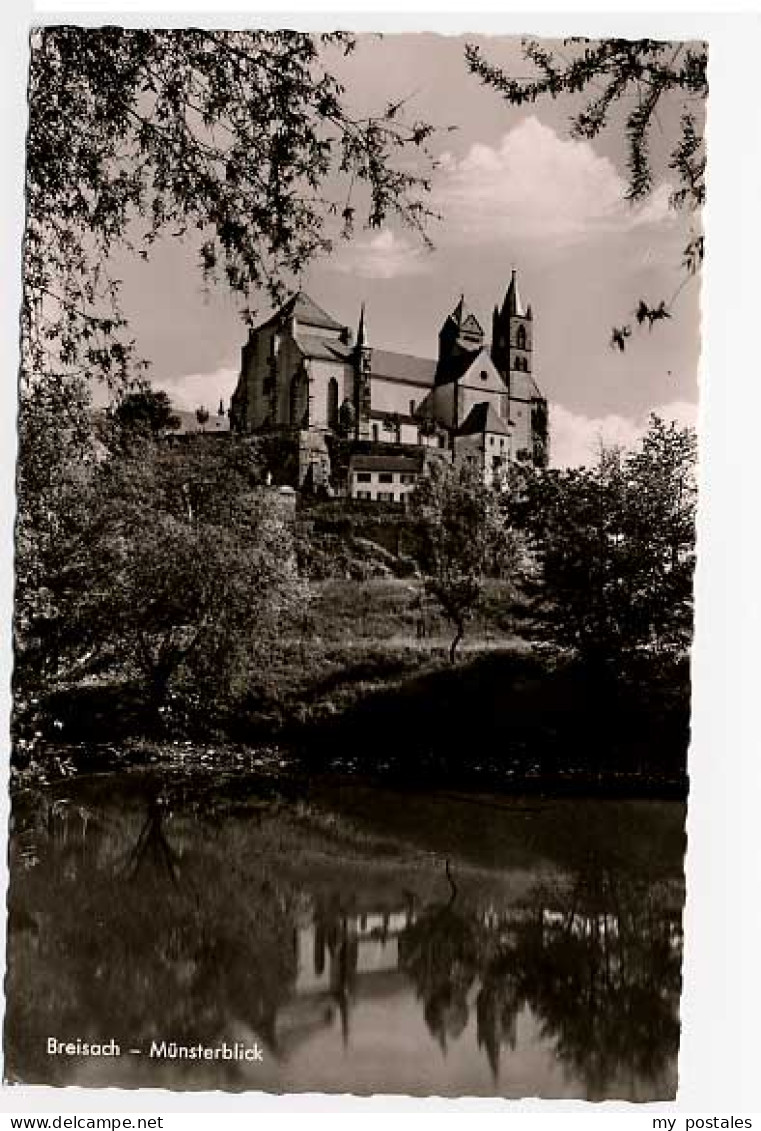 Breisach Rhein Breisach Muenster