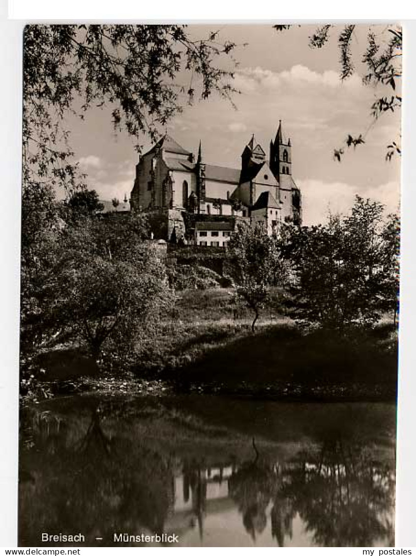 Breisach Rhein Breisach Muenster