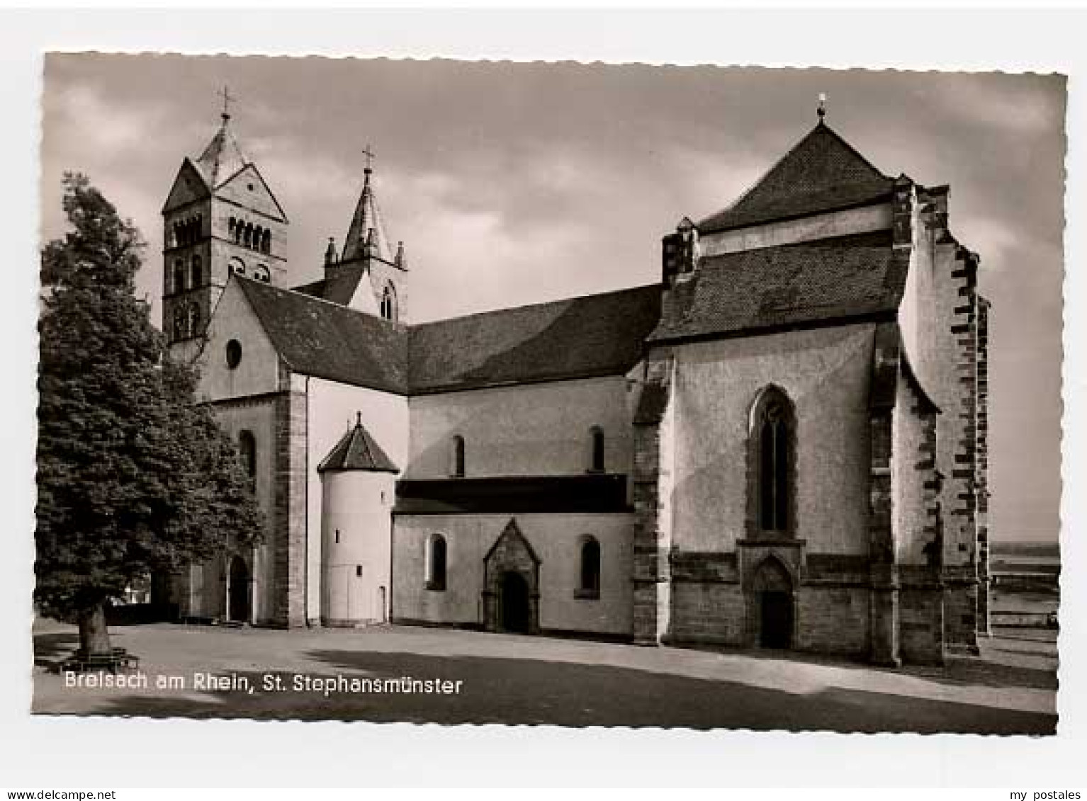 Breisach Rhein Breisach Muenster