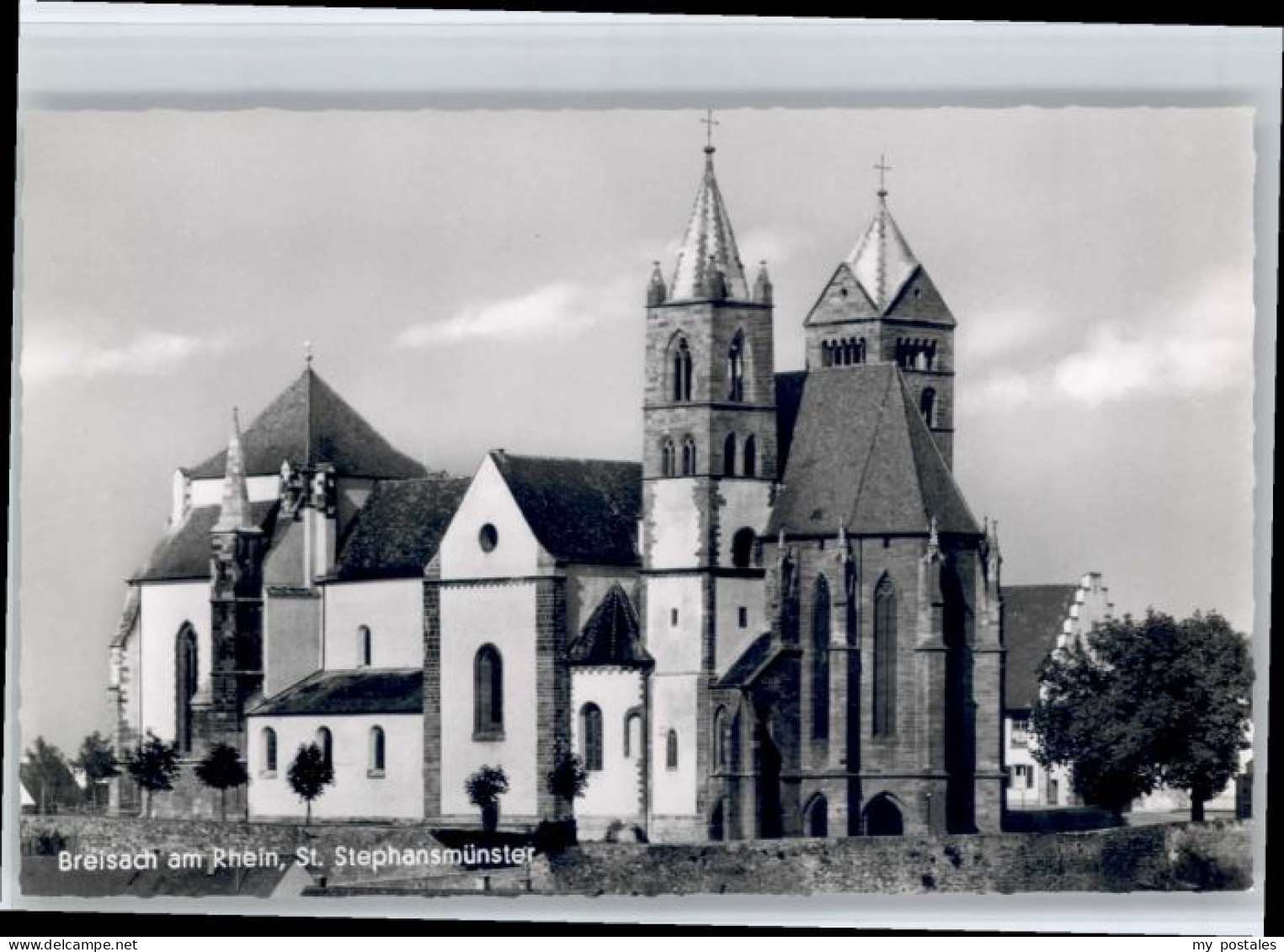 Breisach Rhein Breisach St Stephansmuenster