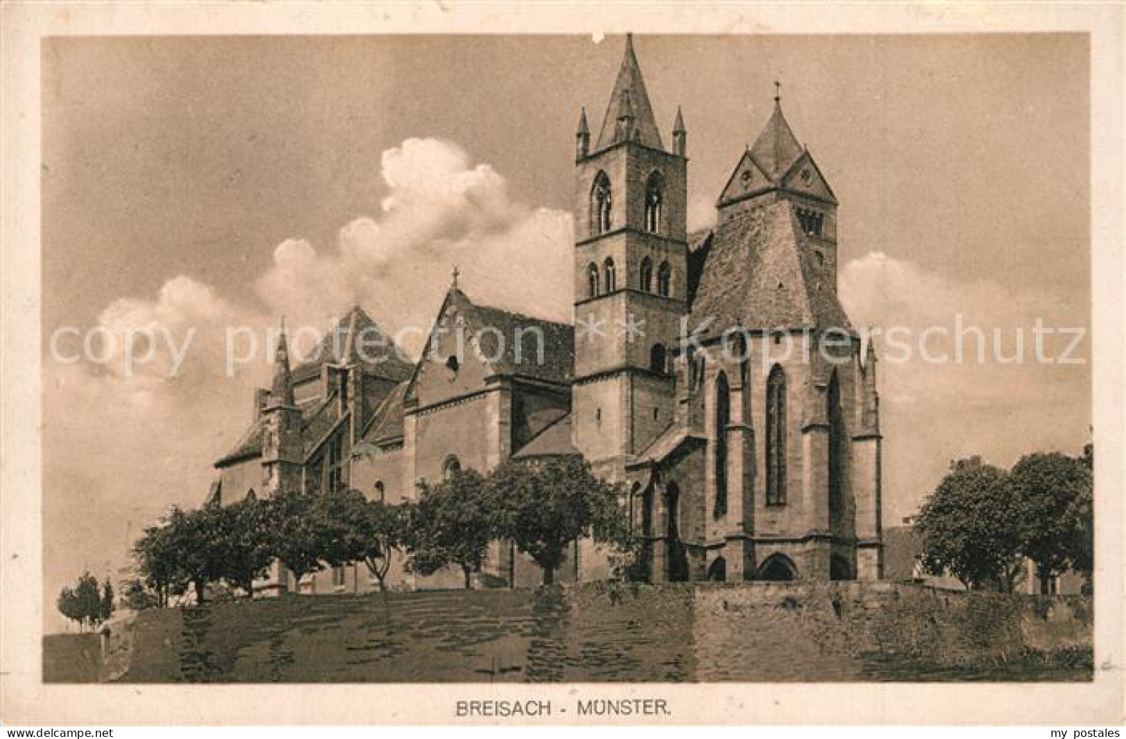 Breisach Rhein Muenster