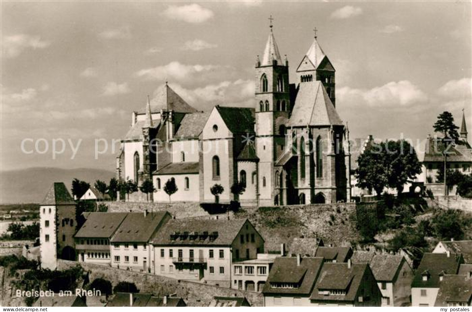 Breisach Rhein Muenster
