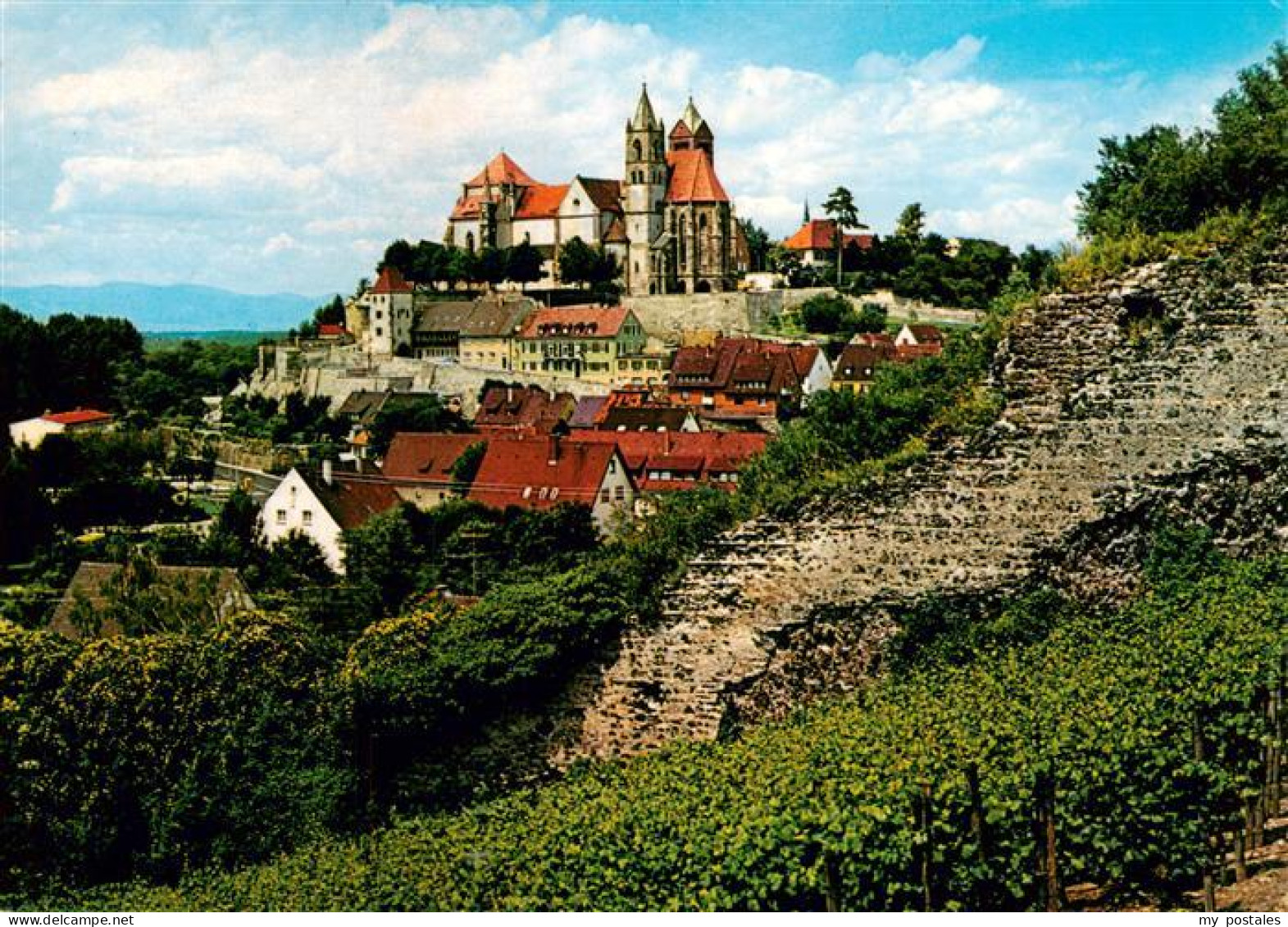 Breisach Rhein Stephansmuenster