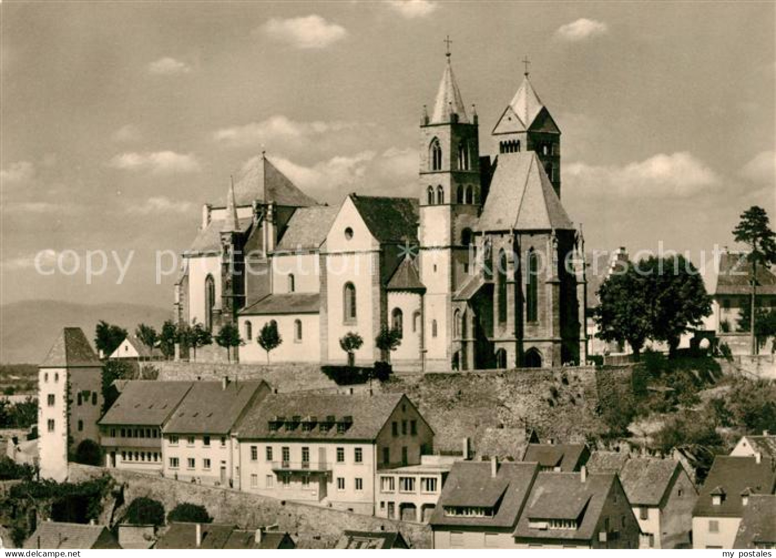 Breisach Rhein Stephansmuenster