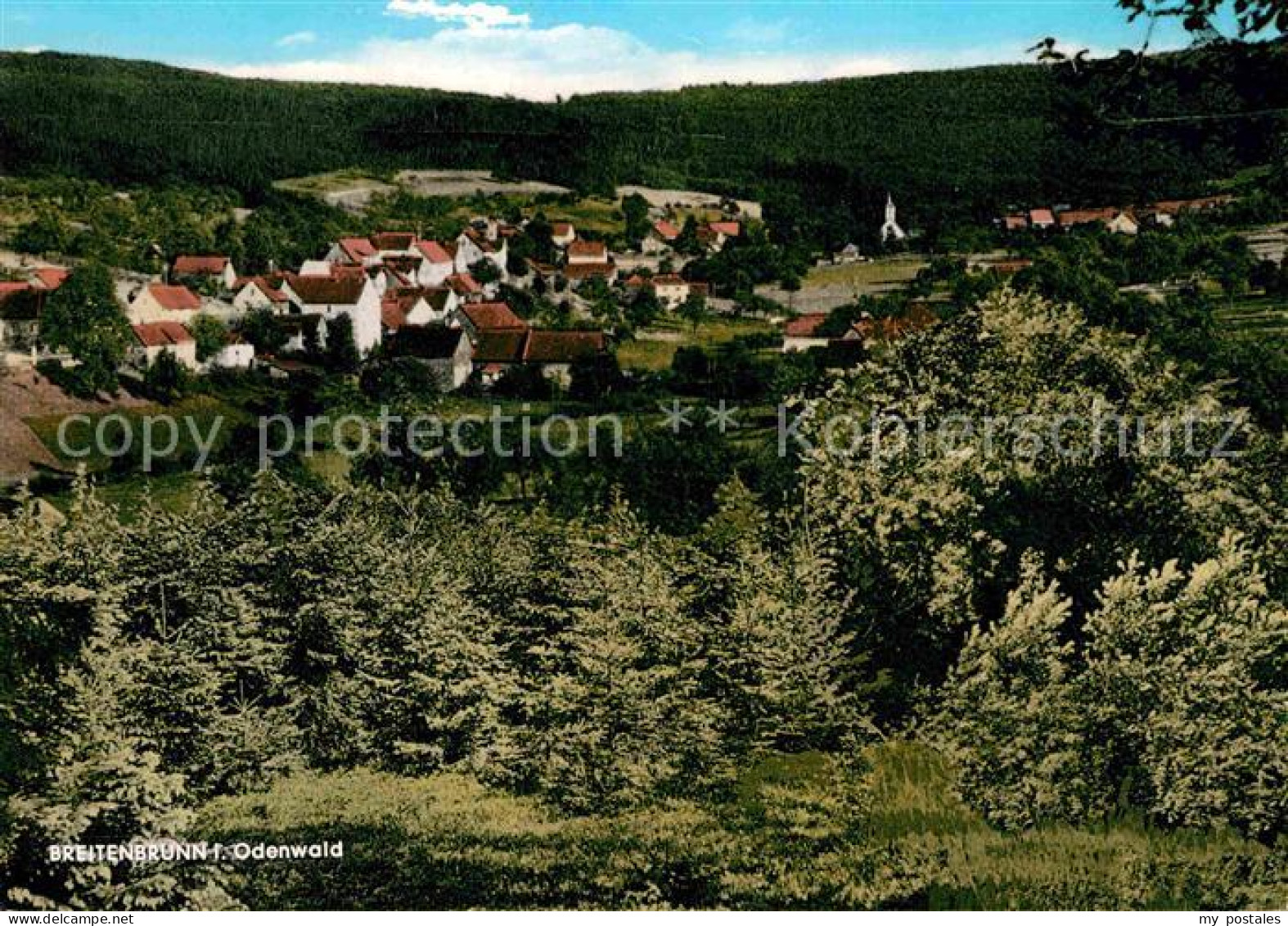 Breitenbrunn Odenwald Panorama