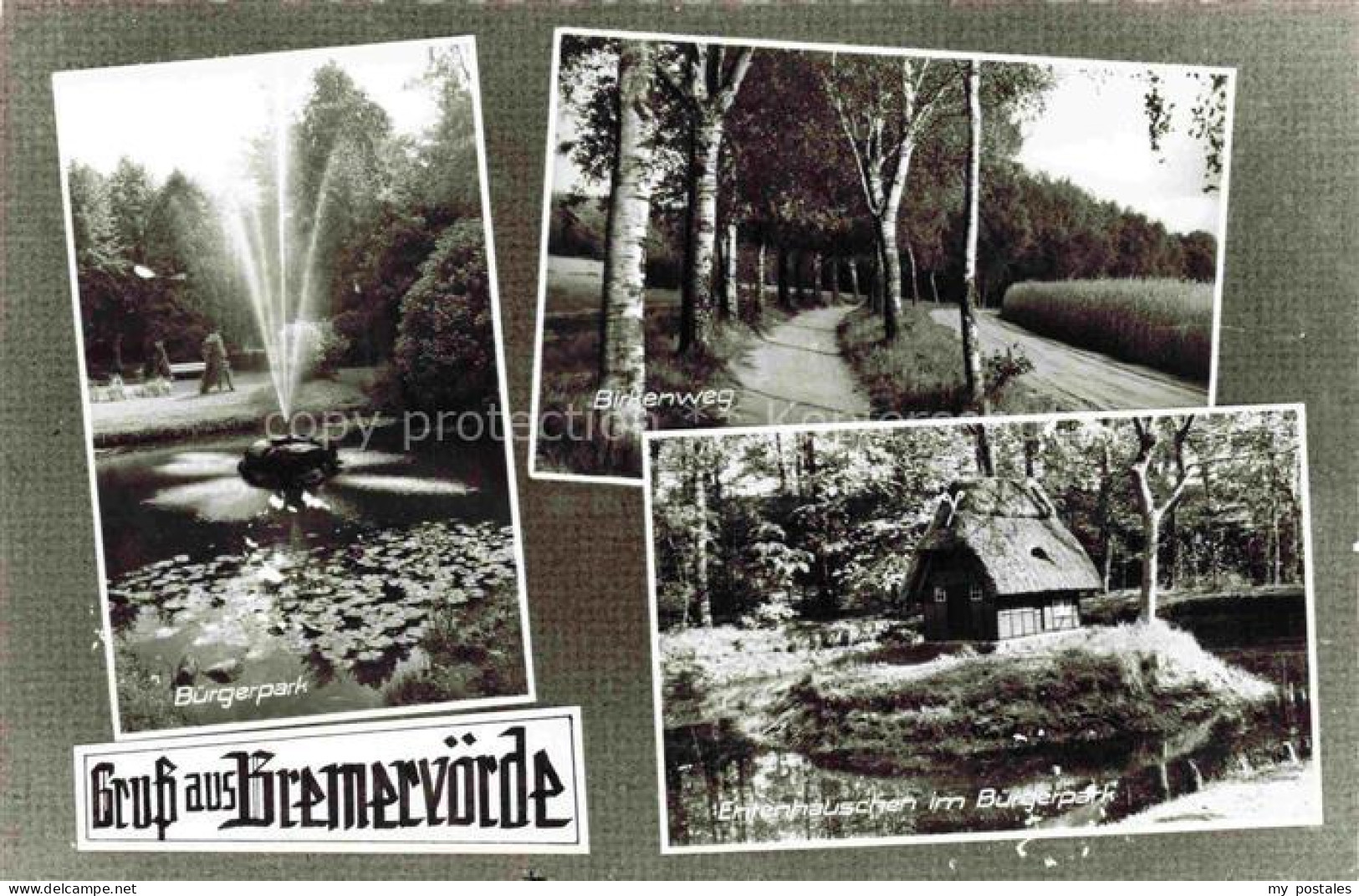 Bremervoerde Buergerpark Entenhaeuschen Birkenweg
