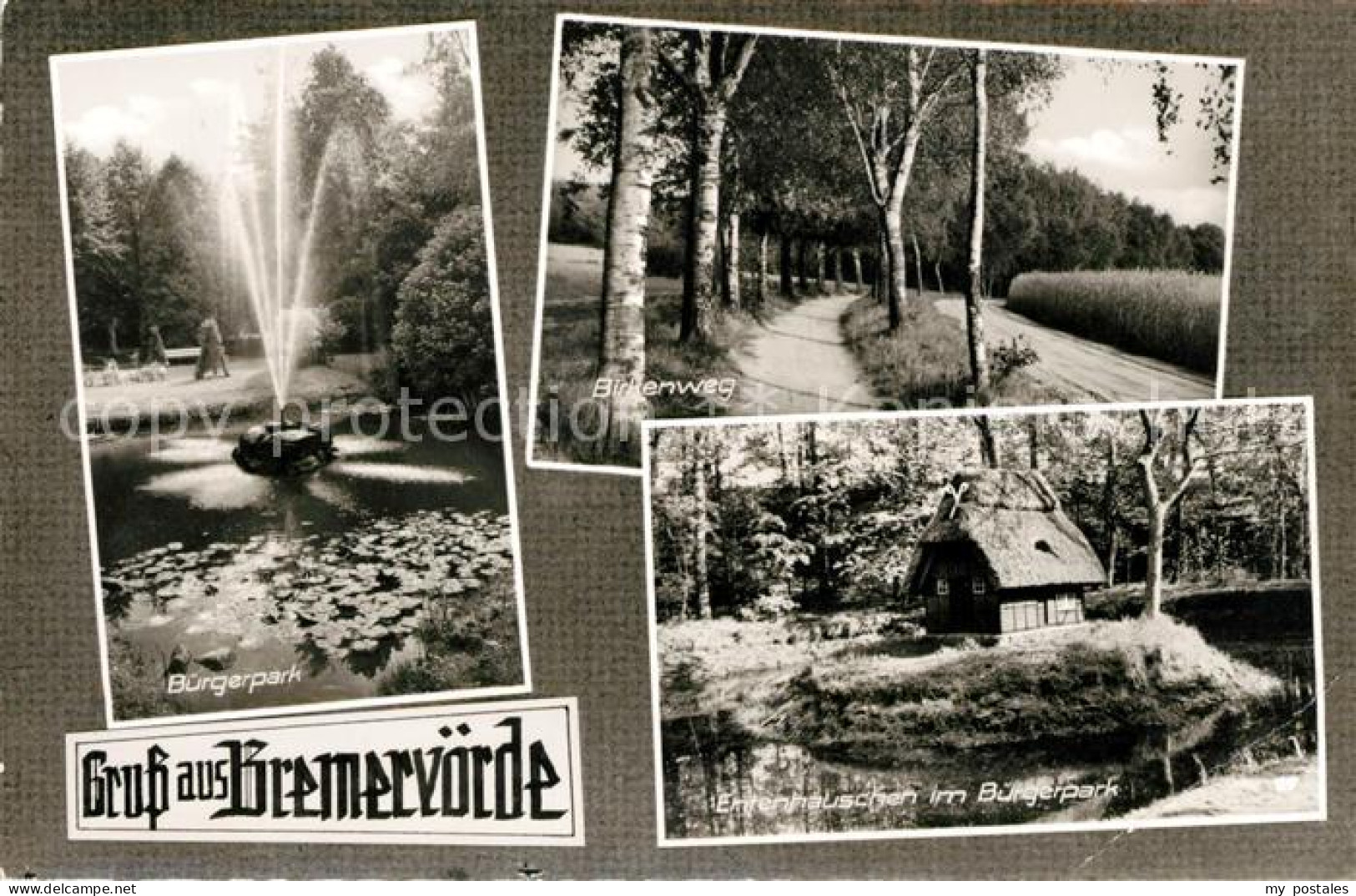 Bremervoerde Buergerpark Entenhaeuschen Birkenweg Baumallee