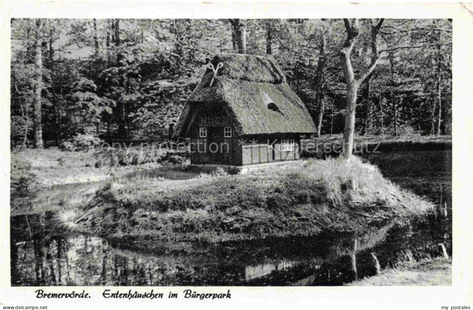 Bremervoerde Entenhaeuschen Buergerpark Reetdachhaus Teich Wald Idylle Insel