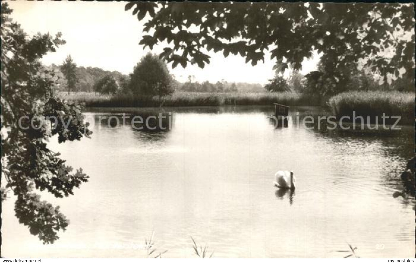 Bremervoerde Muehlenteich