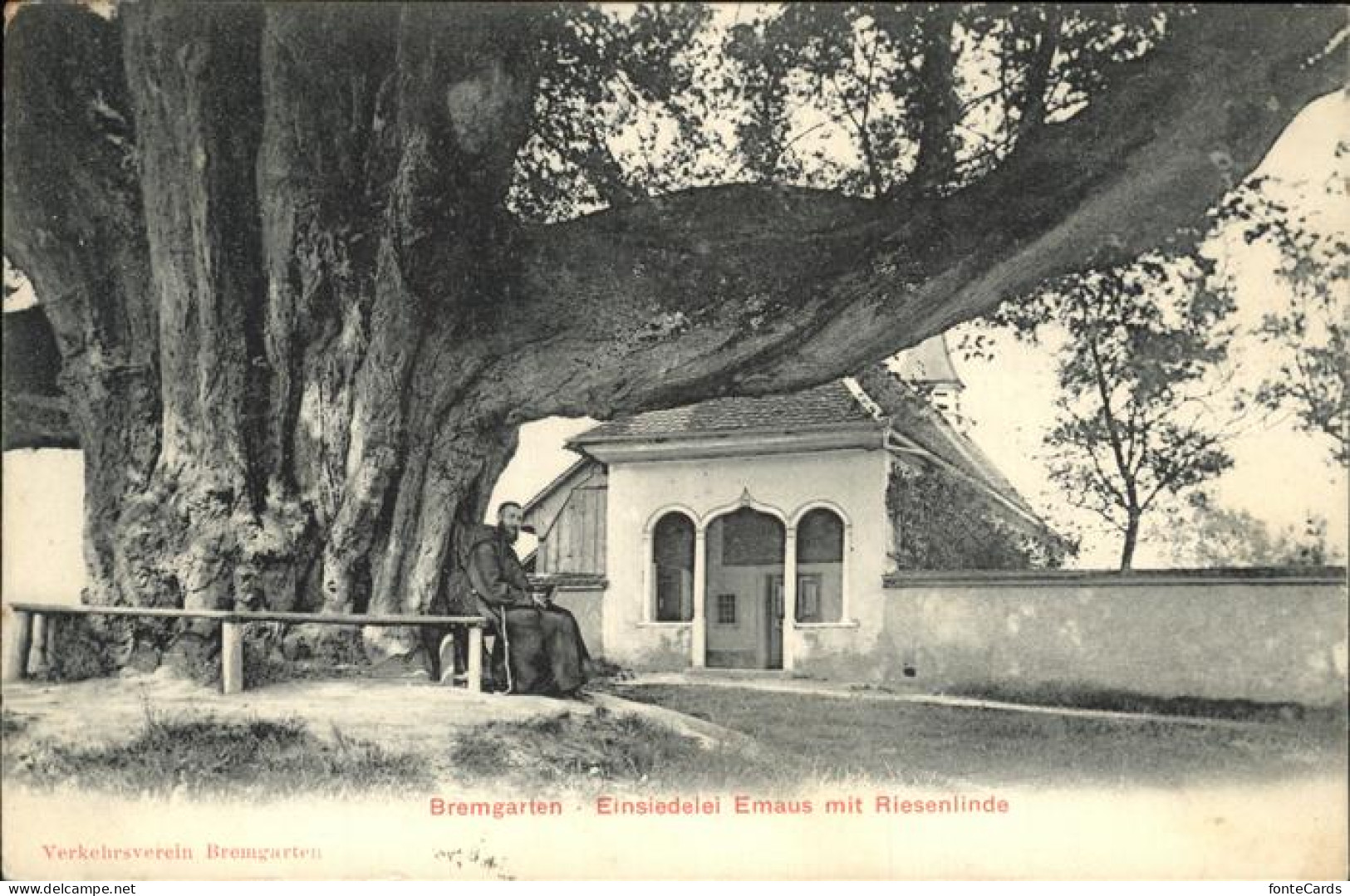 Bremgarten BE Einsiedelei Emaus Risenlinde