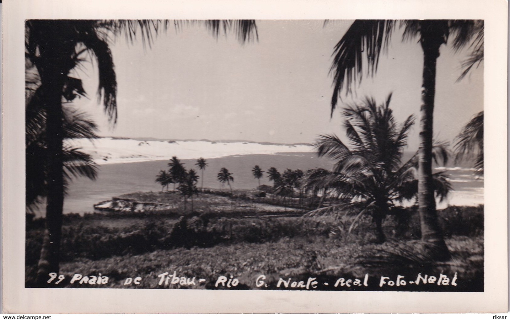 BRESIL(NATAL) CARTE PHOTO(ARBRE)