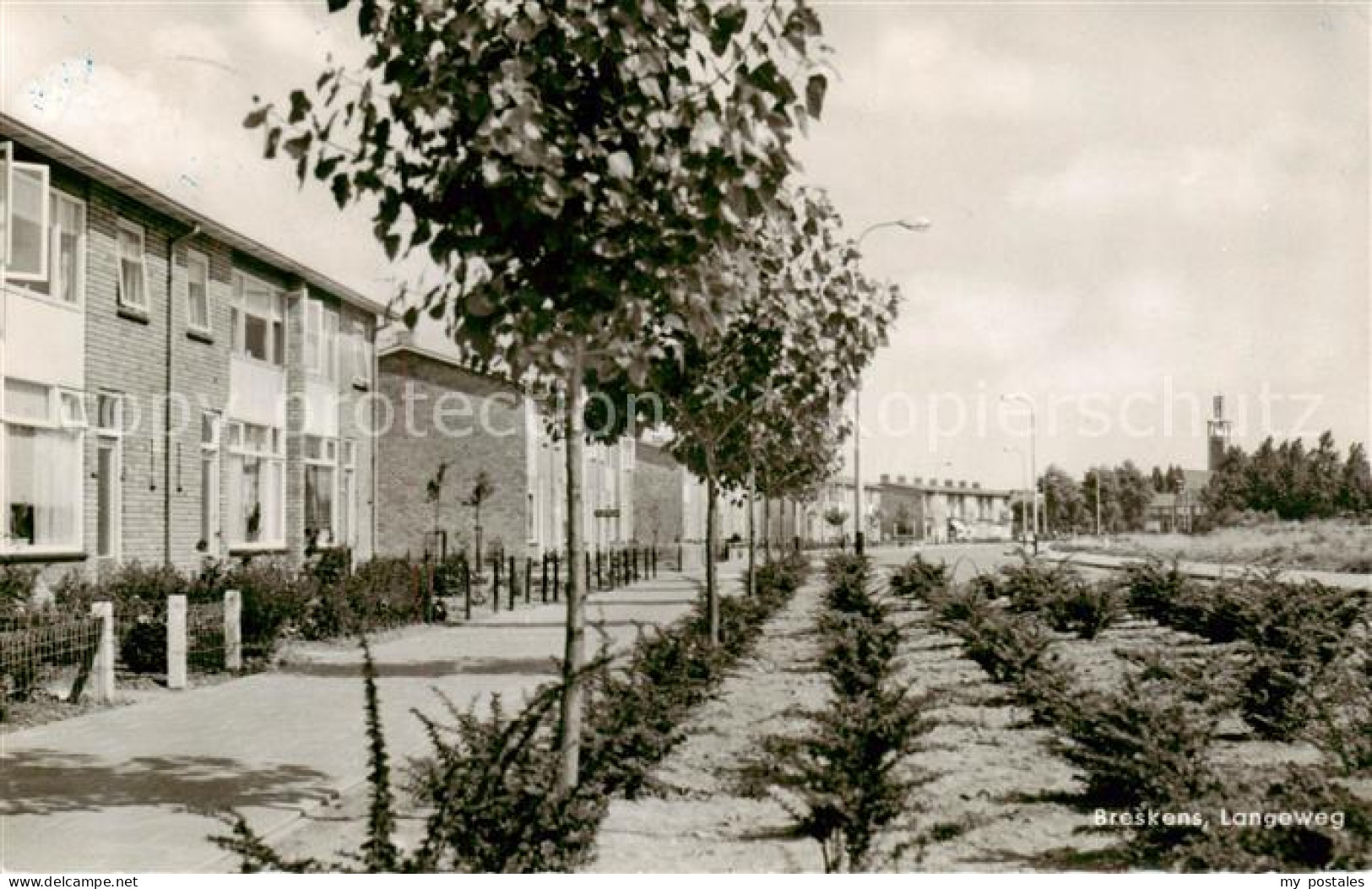 Breskens  NL Langeweg