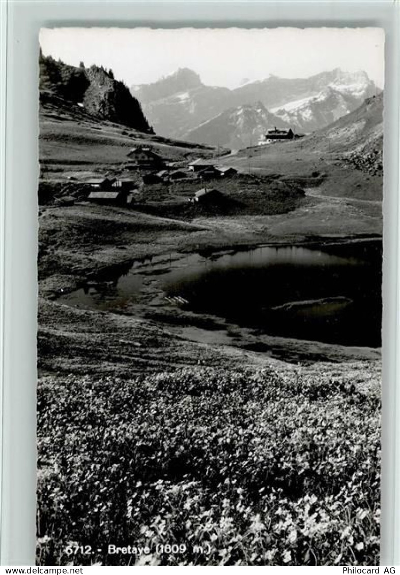 Bretaye - Blühende Wiese - 12112598