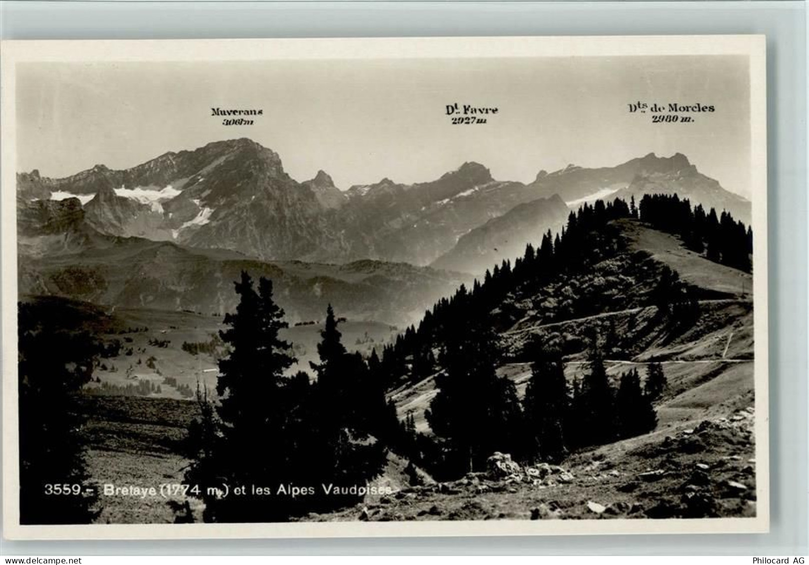 Bretaye - et les Alpes Vaudoises - 11084403