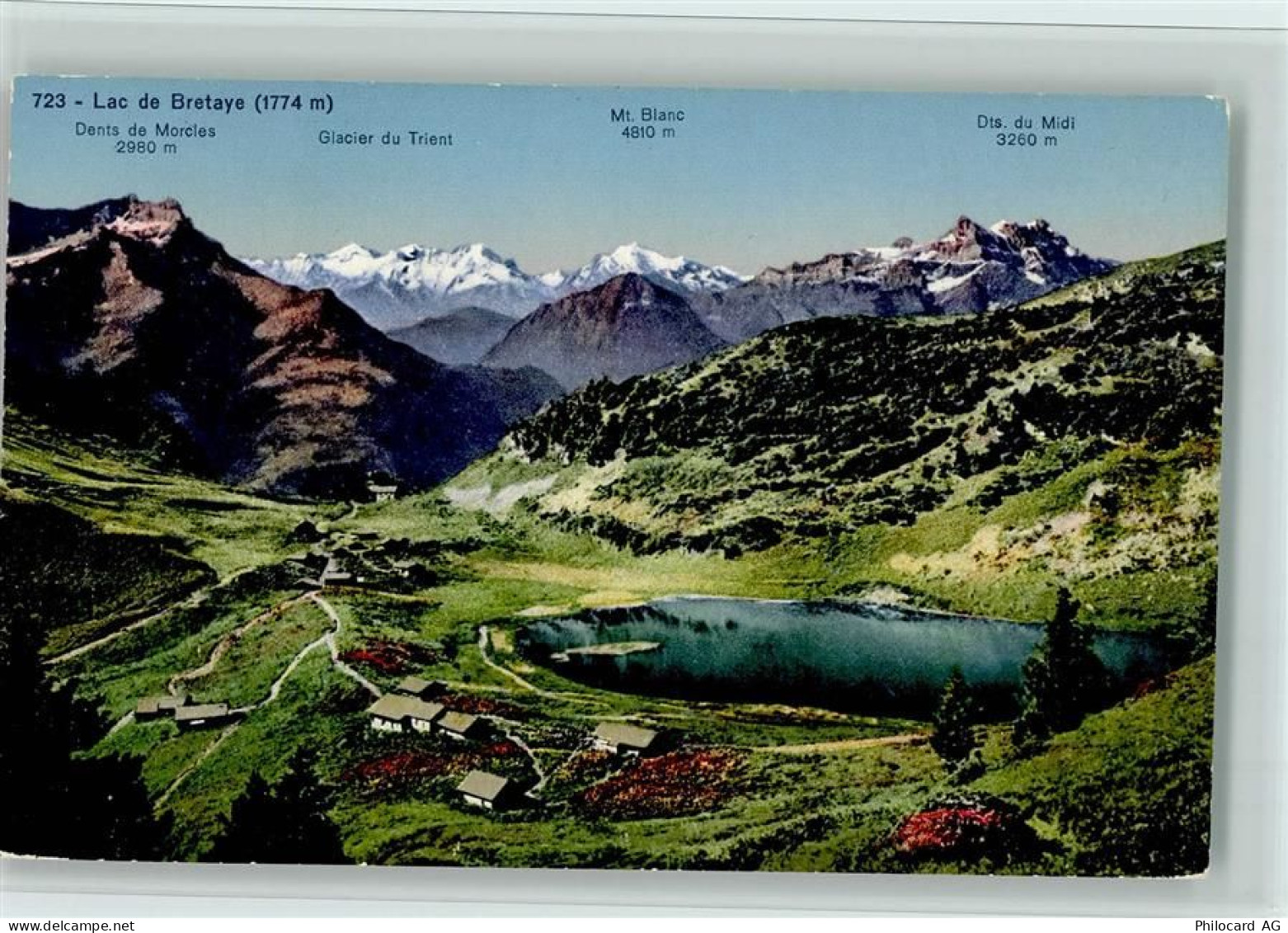 Bretaye - Lac de Bretaye Dent de Morcles Glacier du Trient Mt. Blanc Dts... - 12112801