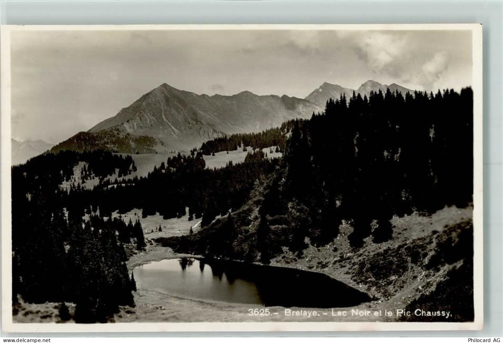 Bretaye - Pic Chaussy - 10307963